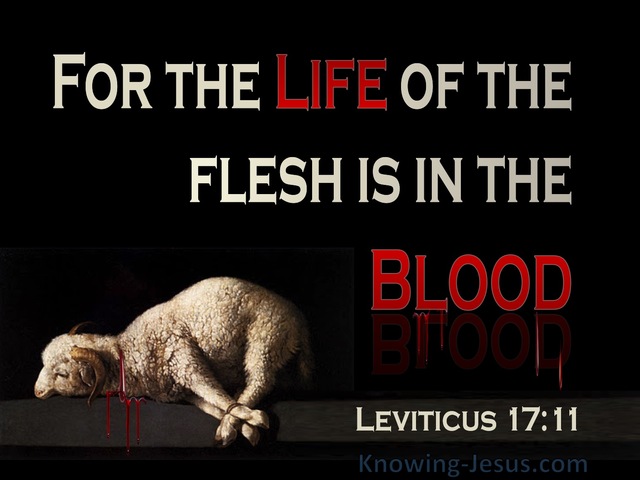 Leviticus 17:11 The Life Of The Flesh Is In The Blood (beige)